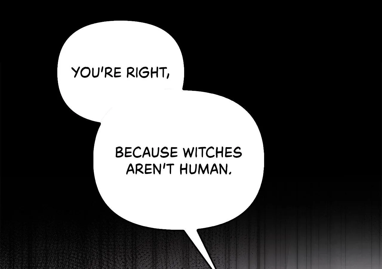 To the Witch Who Forgot the Birds Chapter 12 page 127 - 