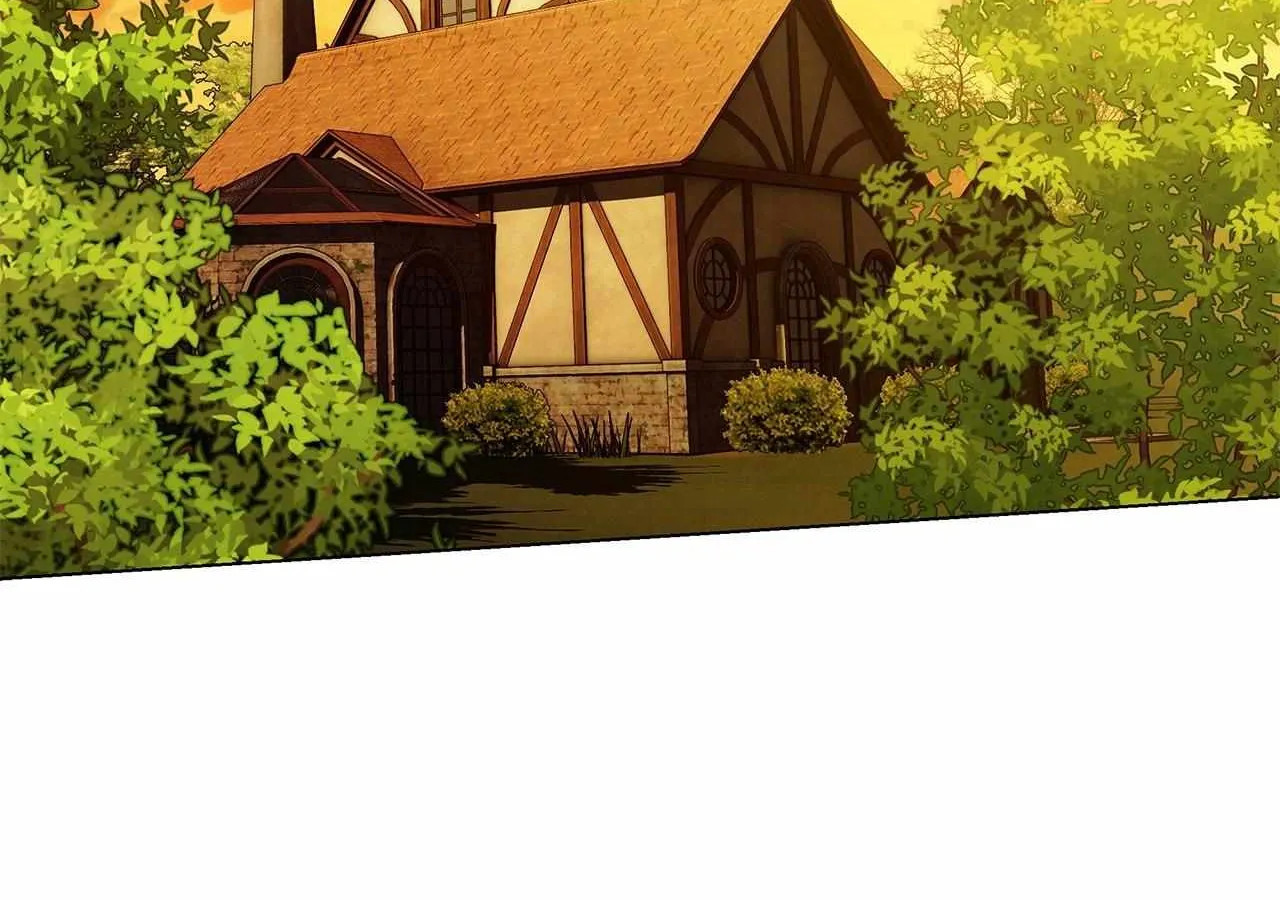 To the Witch Who Forgot the Birds Chapter 12 page 151 - 
