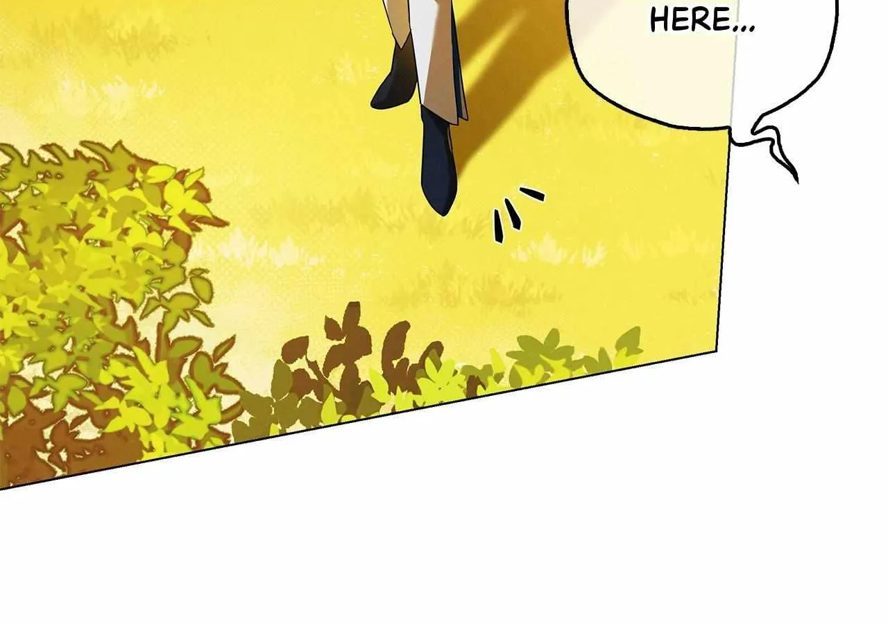 To the Witch Who Forgot the Birds Chapter 12 page 153 - 