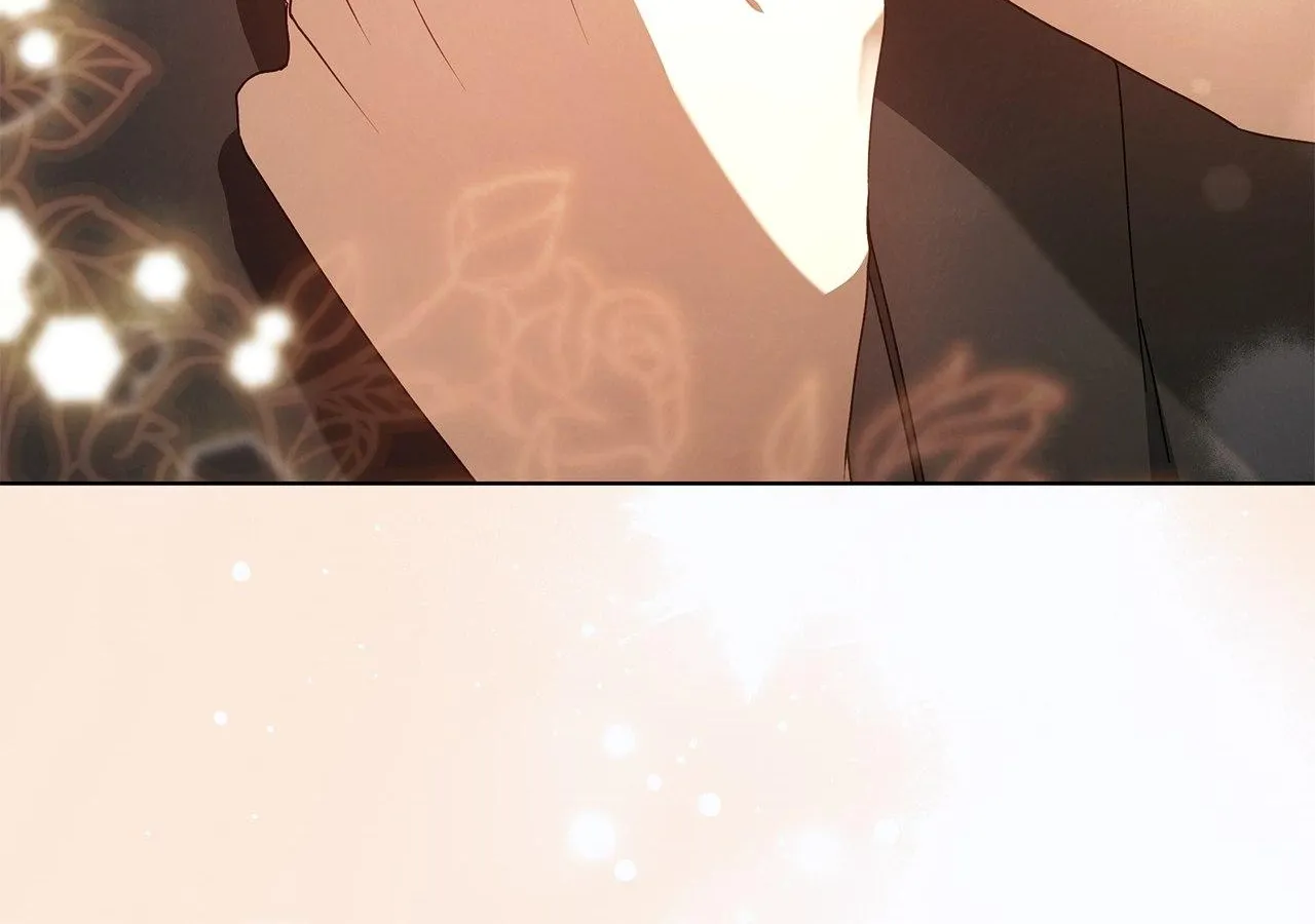 To the Witch Who Forgot the Birds Chapter 15 page 144 - 