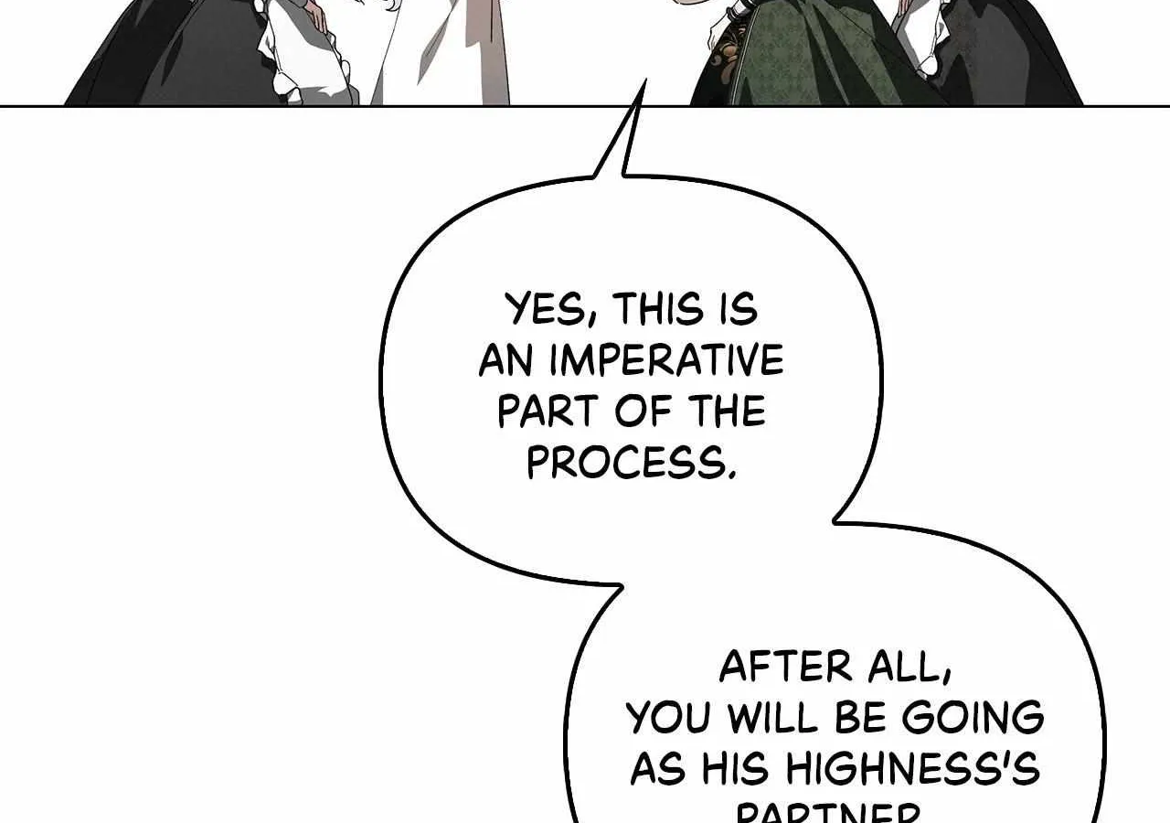 To the Witch Who Forgot the Birds Chapter 15 page 62 - 