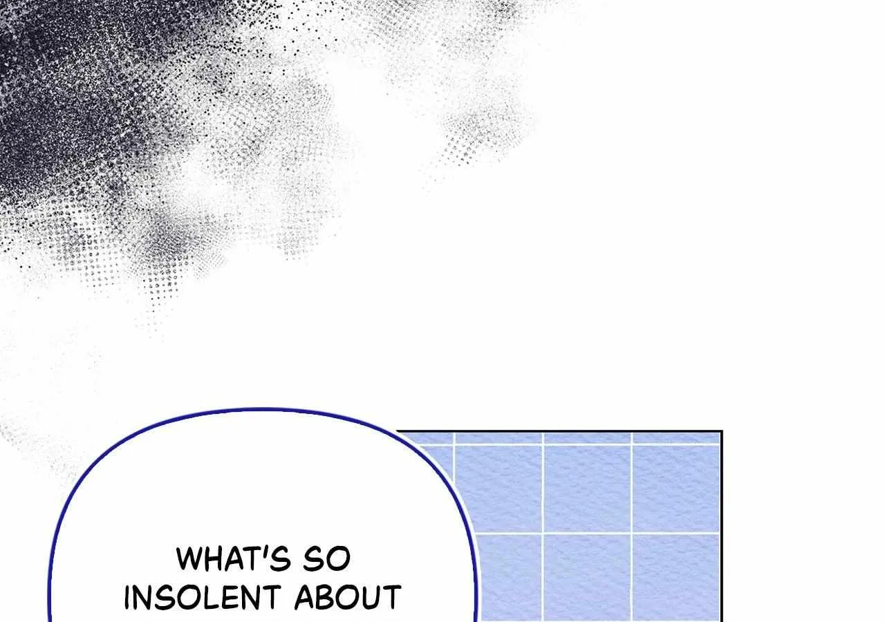 To the Witch Who Forgot the Birds Chapter 17 page 162 - 