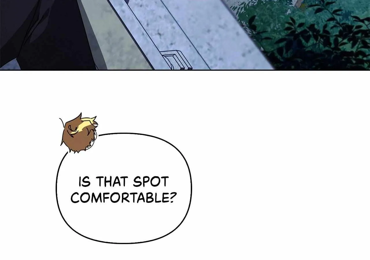 To the Witch Who Forgot the Birds Chapter 18 page 116 - 