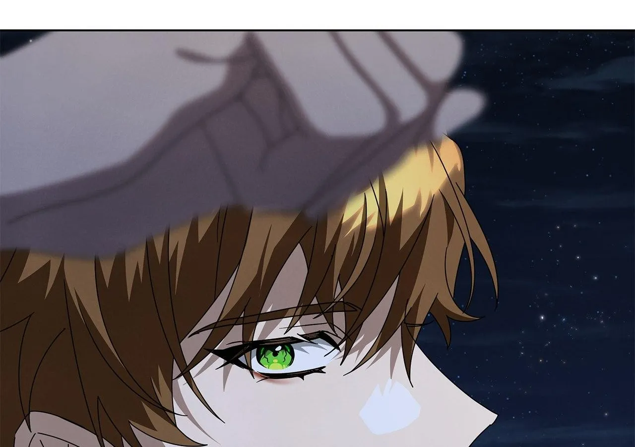 To the Witch Who Forgot the Birds Chapter 18 page 205 - 