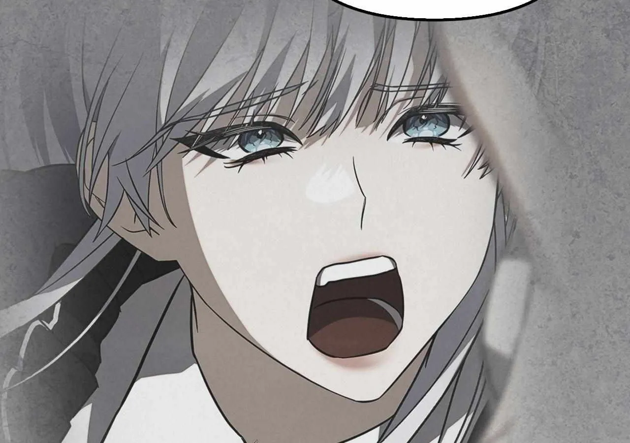 To the Witch Who Forgot the Birds Chapter 18 page 213 - 