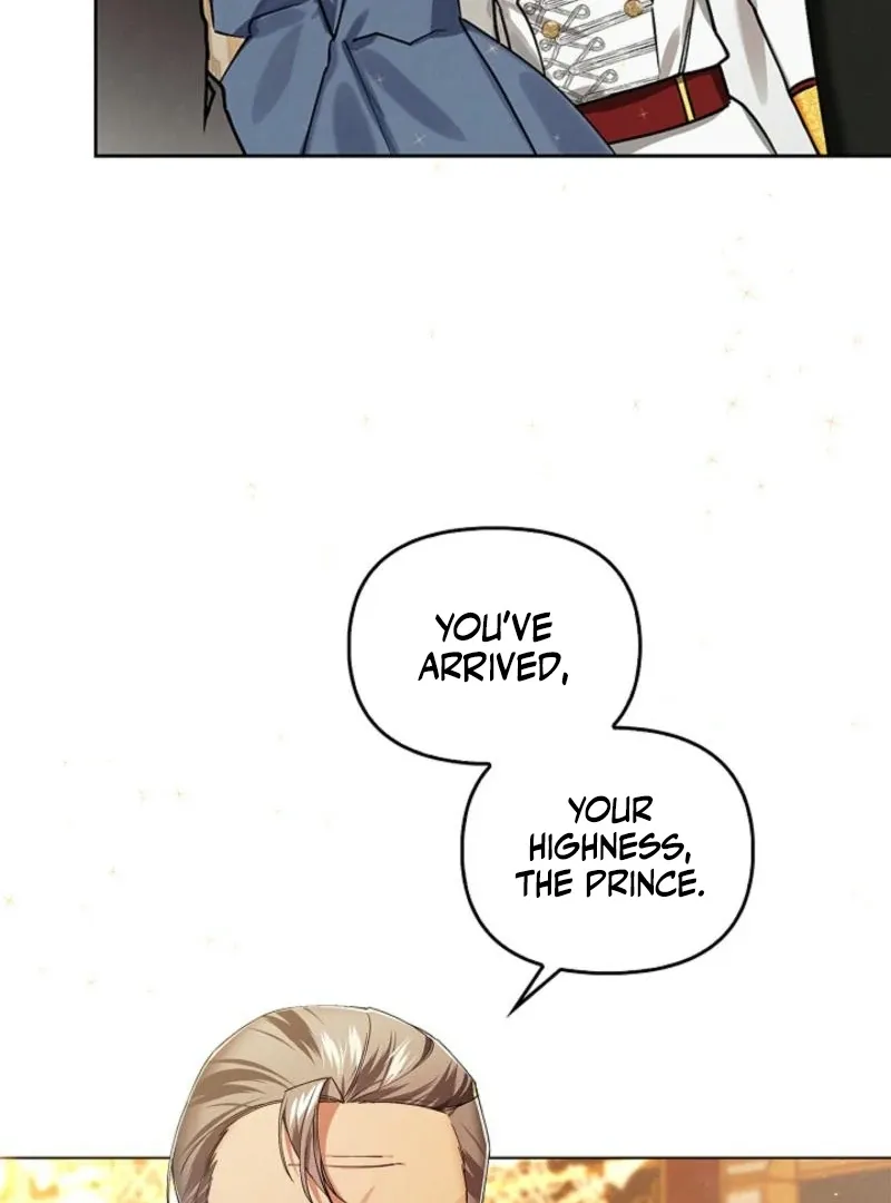 To the Witch Who Forgot the Birds Chapter 2 page 11 - 