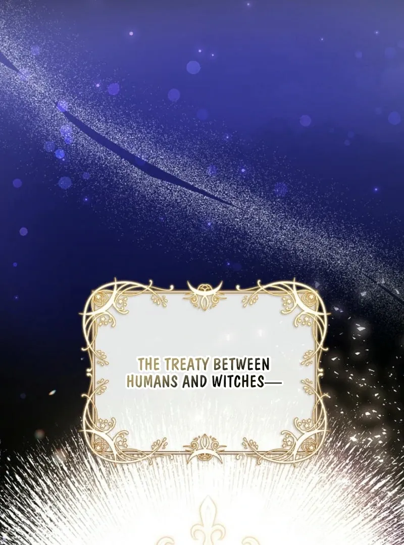 To the Witch Who Forgot the Birds Chapter 2 page 115 - 
