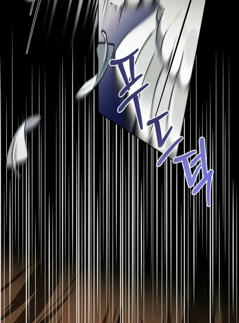 To the Witch Who Forgot the Birds Chapter 2 page 144 - 
