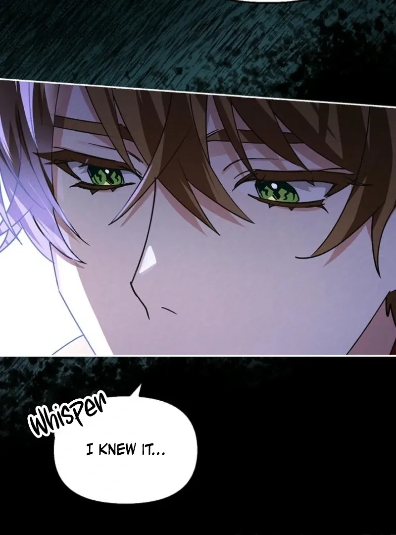To the Witch Who Forgot the Birds Chapter 2 page 164 - 
