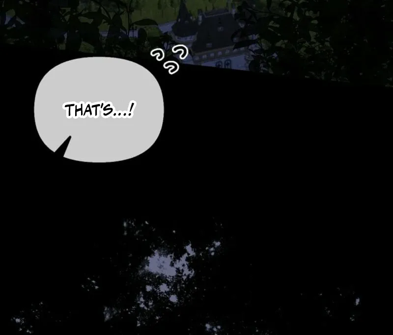 To the Witch Who Forgot the Birds Chapter 2 page 201 - 