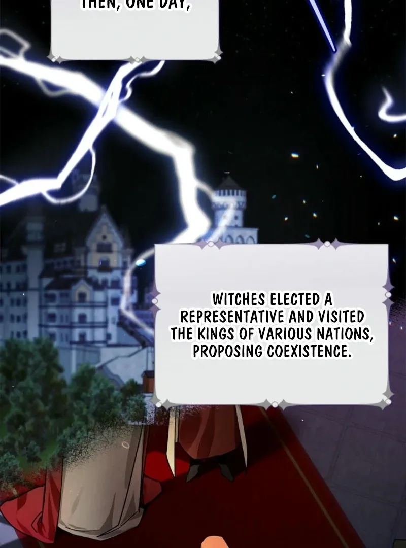 To the Witch Who Forgot the Birds Chapter 2 page 23 - 