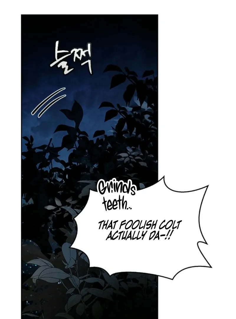 To the Witch Who Forgot the Birds Chapter 2 page 53 - 