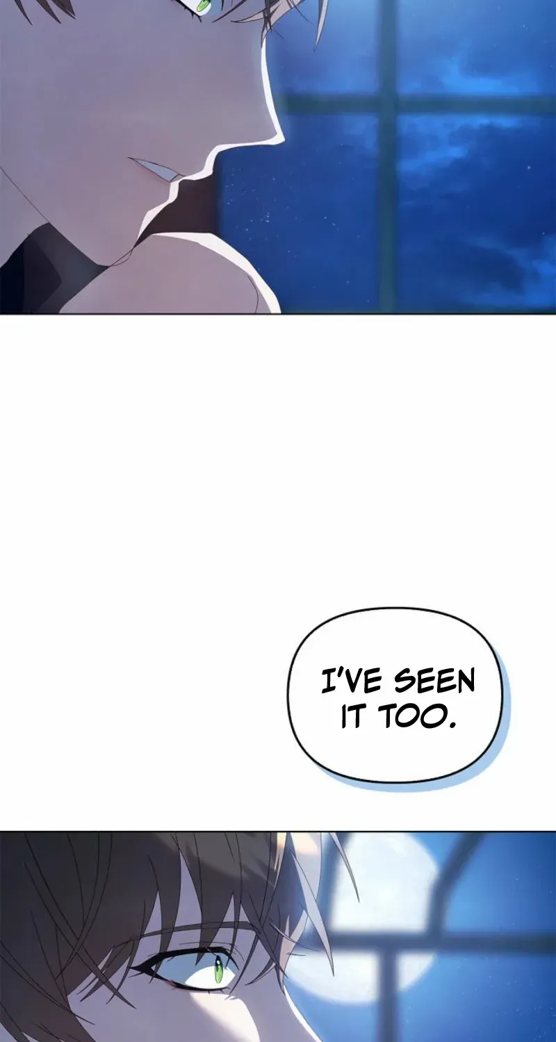 To the Witch Who Forgot the Birds Chapter 20 page 26 - 
