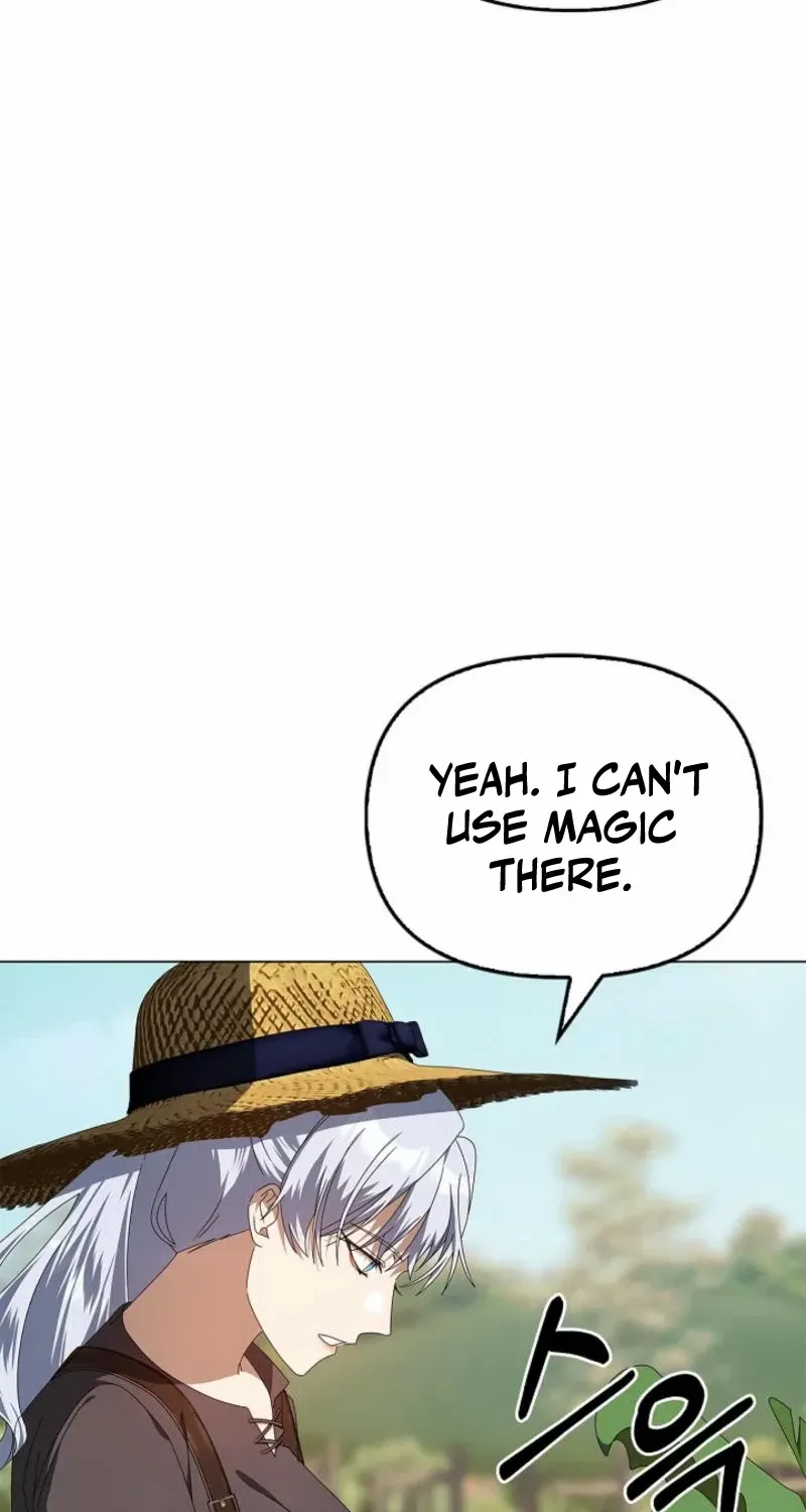 To the Witch Who Forgot the Birds Chapter 20 page 73 - 