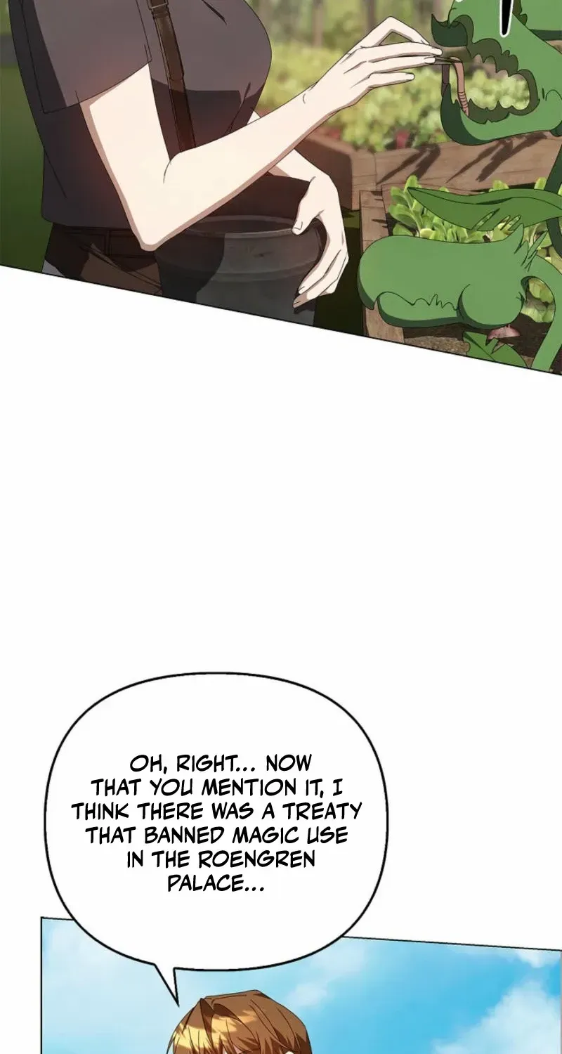 To the Witch Who Forgot the Birds Chapter 20 page 74 - 