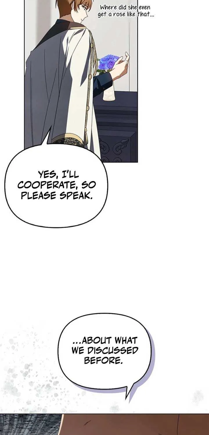 To the Witch Who Forgot the Birds Chapter 22 page 43 - 