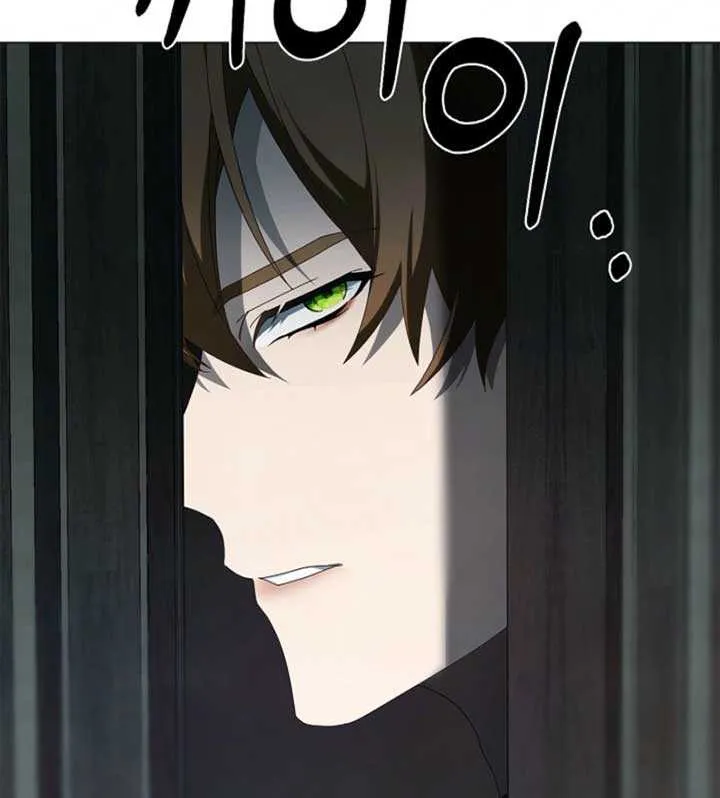 To the Witch Who Forgot the Birds Chapter 24 page 91 - 