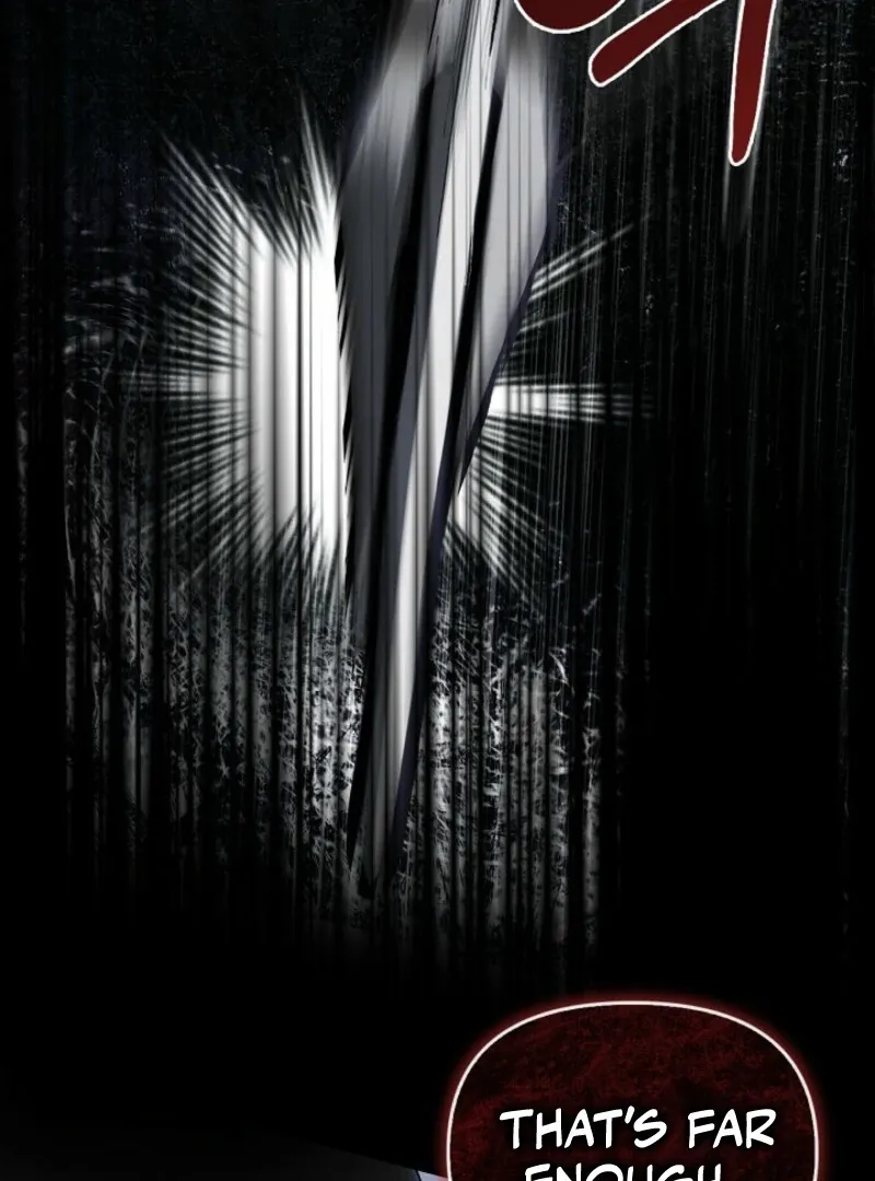 To the Witch Who Forgot the Birds Chapter 25 page 145 - 