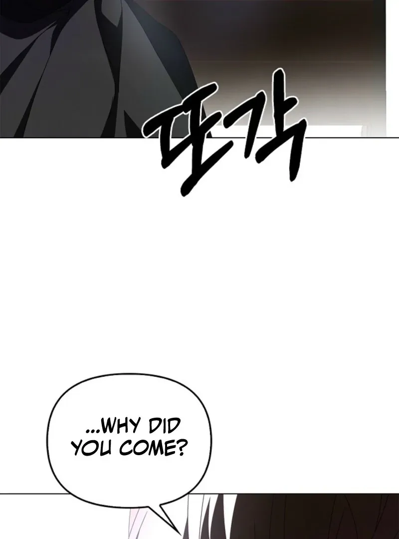 To the Witch Who Forgot the Birds Chapter 25 page 95 - 