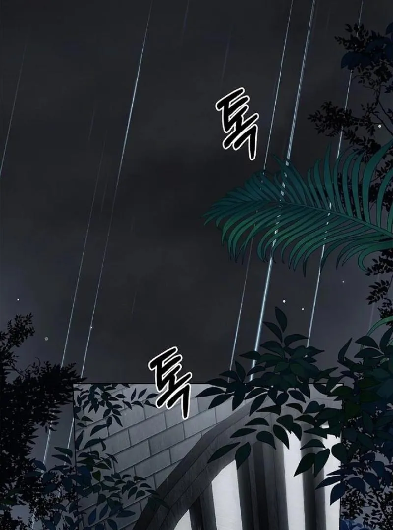 To the Witch Who Forgot the Birds Chapter 27 page 105 - 