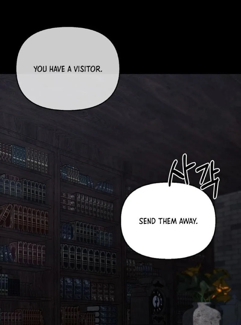 To the Witch Who Forgot the Birds Chapter 27 page 112 - 