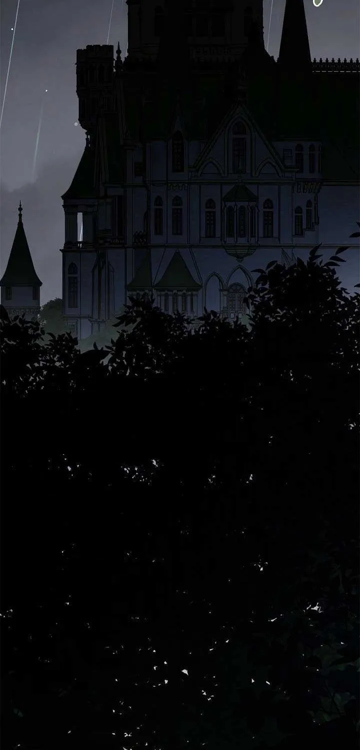 To the Witch Who Forgot the Birds Chapter 28 page 61 - 