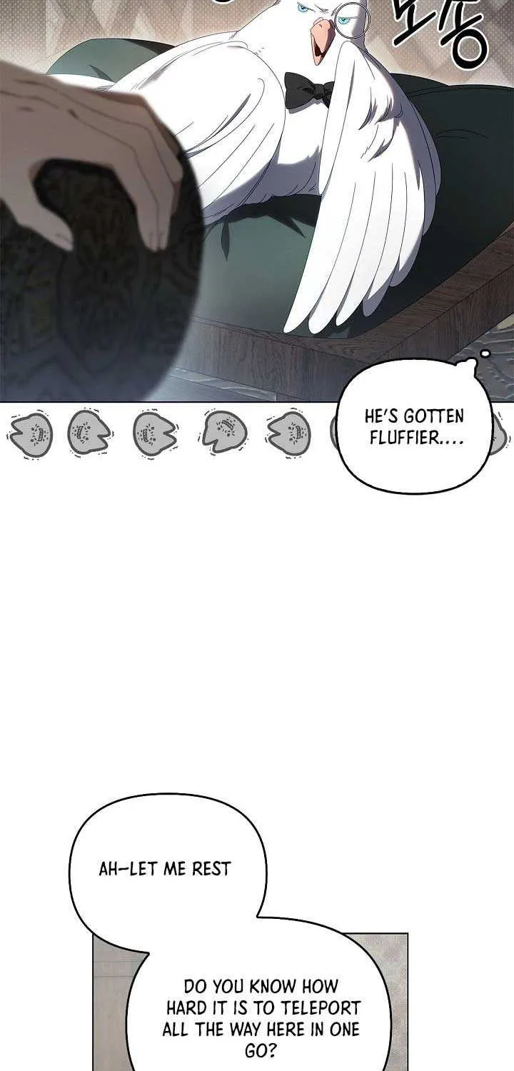 To the Witch Who Forgot the Birds Chapter 28 page 81 - 