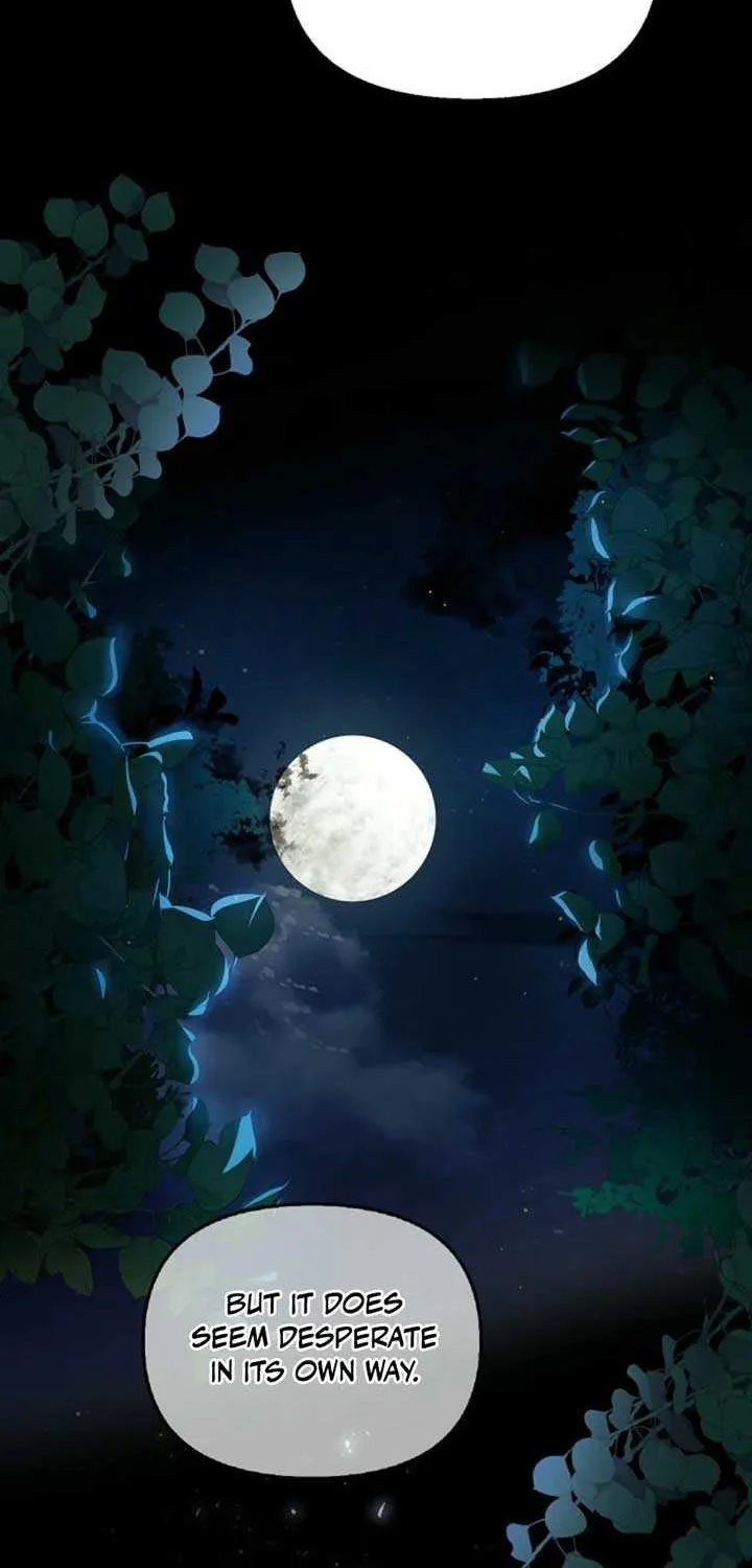 To the Witch Who Forgot the Birds Chapter 3 page 116 - 