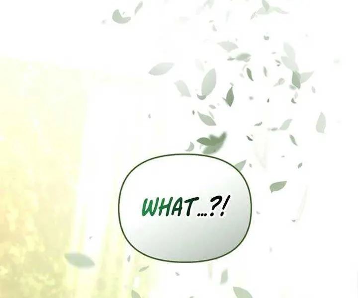 To the Witch Who Forgot the Birds Chapter 3 page 23 - 