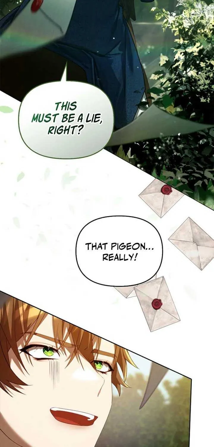 To the Witch Who Forgot the Birds Chapter 3 page 25 - 