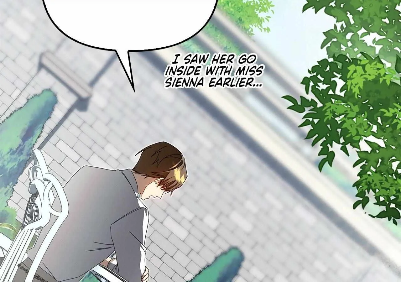 To the Witch Who Forgot the Birds Chapter 30 page 161 - 