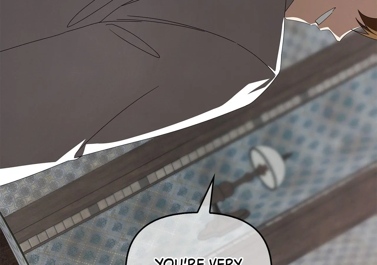To the Witch Who Forgot the Birds Chapter 30 page 25 - 