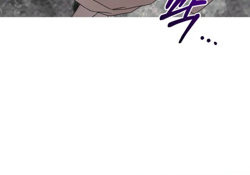 To the Witch Who Forgot the Birds Chapter 33 page 115 - 