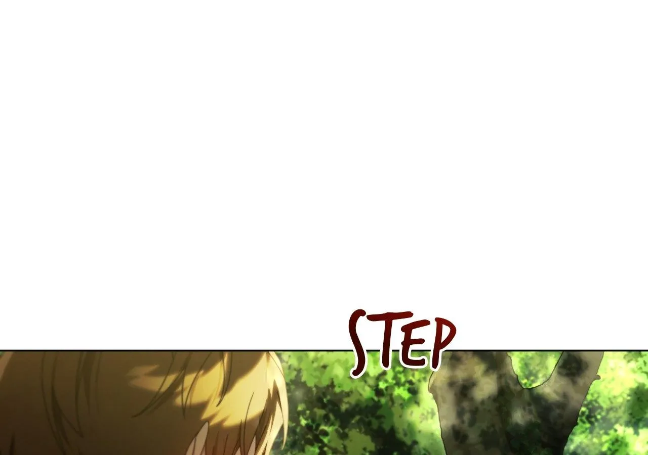 To the Witch Who Forgot the Birds Chapter 34 page 137 - 