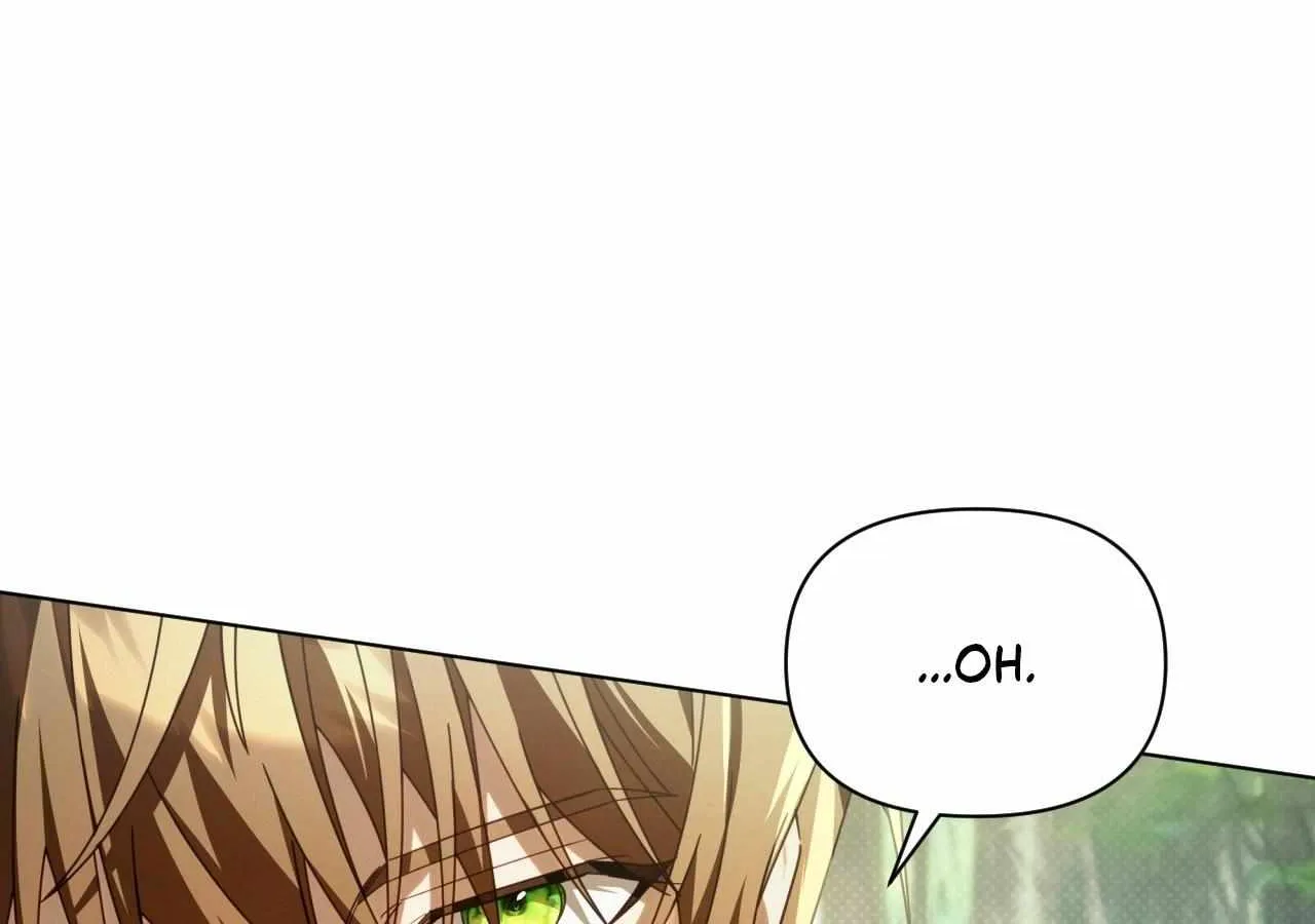 To the Witch Who Forgot the Birds Chapter 34 page 145 - 