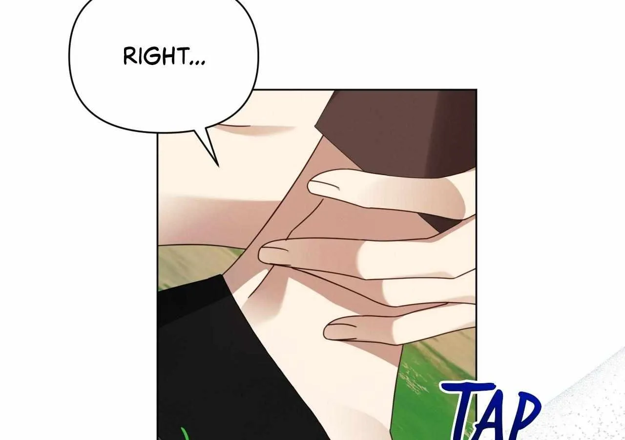 To the Witch Who Forgot the Birds Chapter 34 page 147 - 