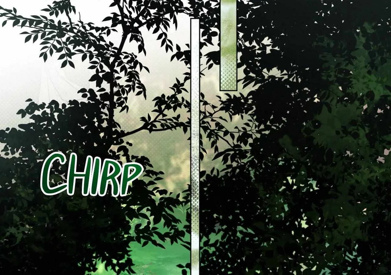 To the Witch Who Forgot the Birds Chapter 34 page 151 - 