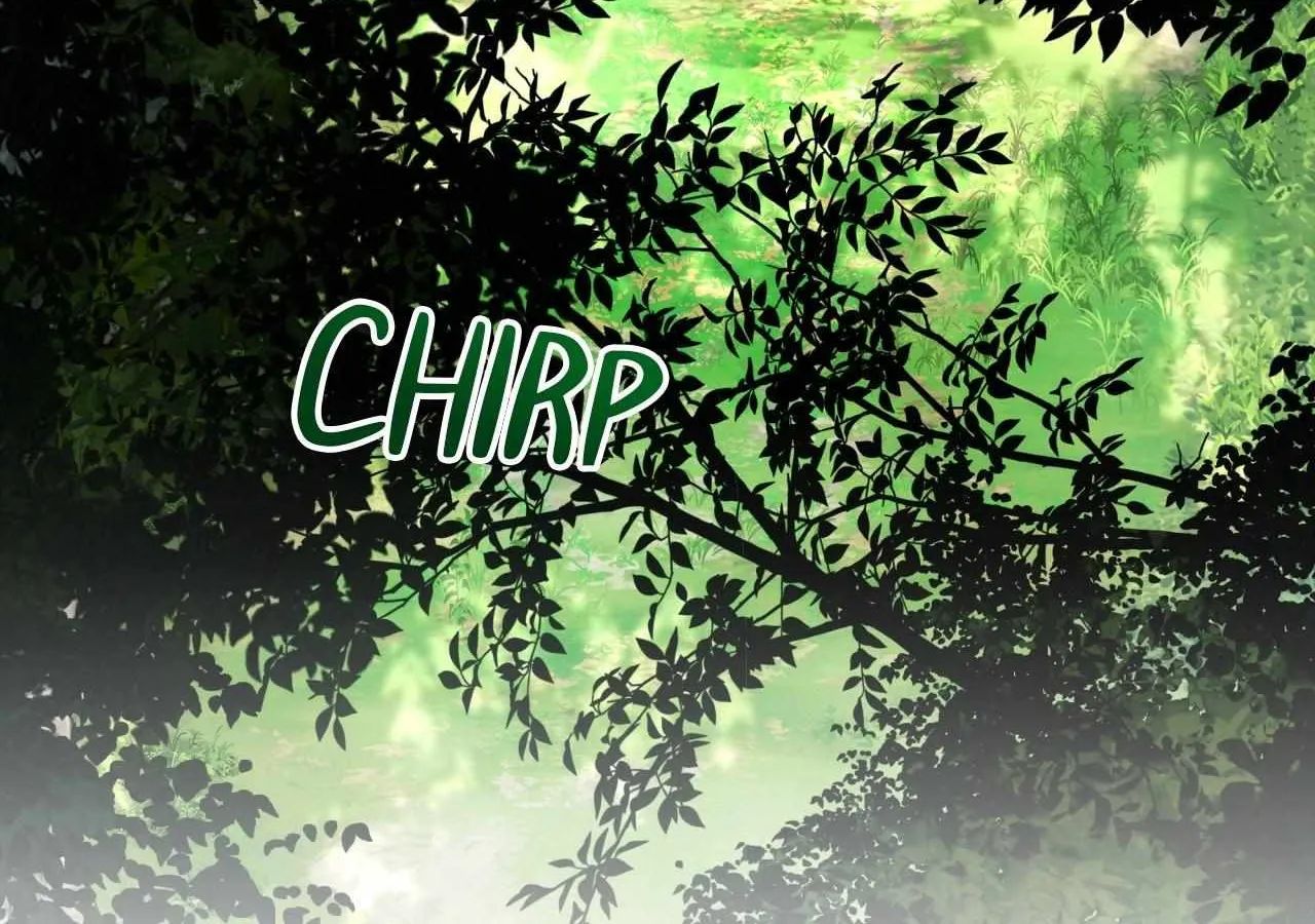 To the Witch Who Forgot the Birds Chapter 34 page 153 - 
