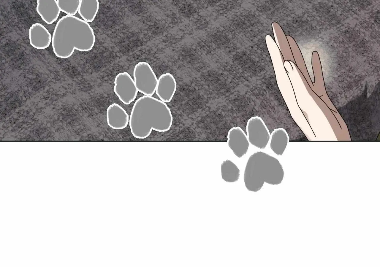 To the Witch Who Forgot the Birds Chapter 35 page 116 - 