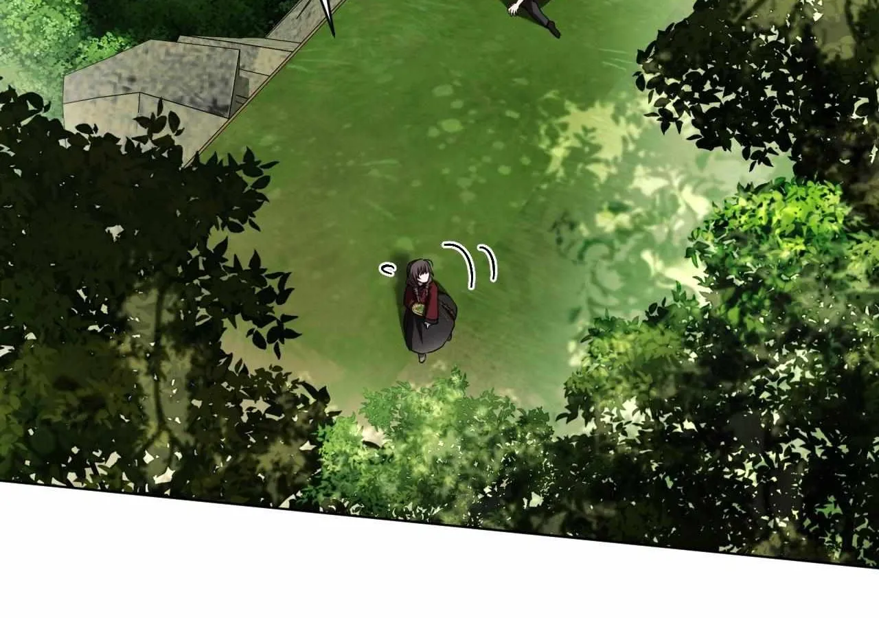 To the Witch Who Forgot the Birds Chapter 35 page 71 - 