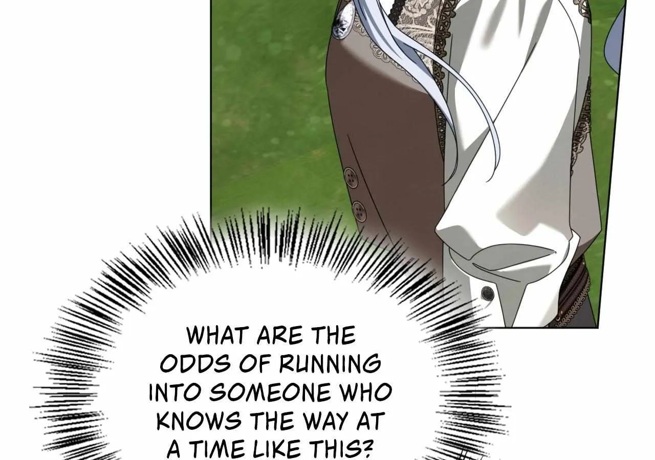 To the Witch Who Forgot the Birds Chapter 35 page 73 - 