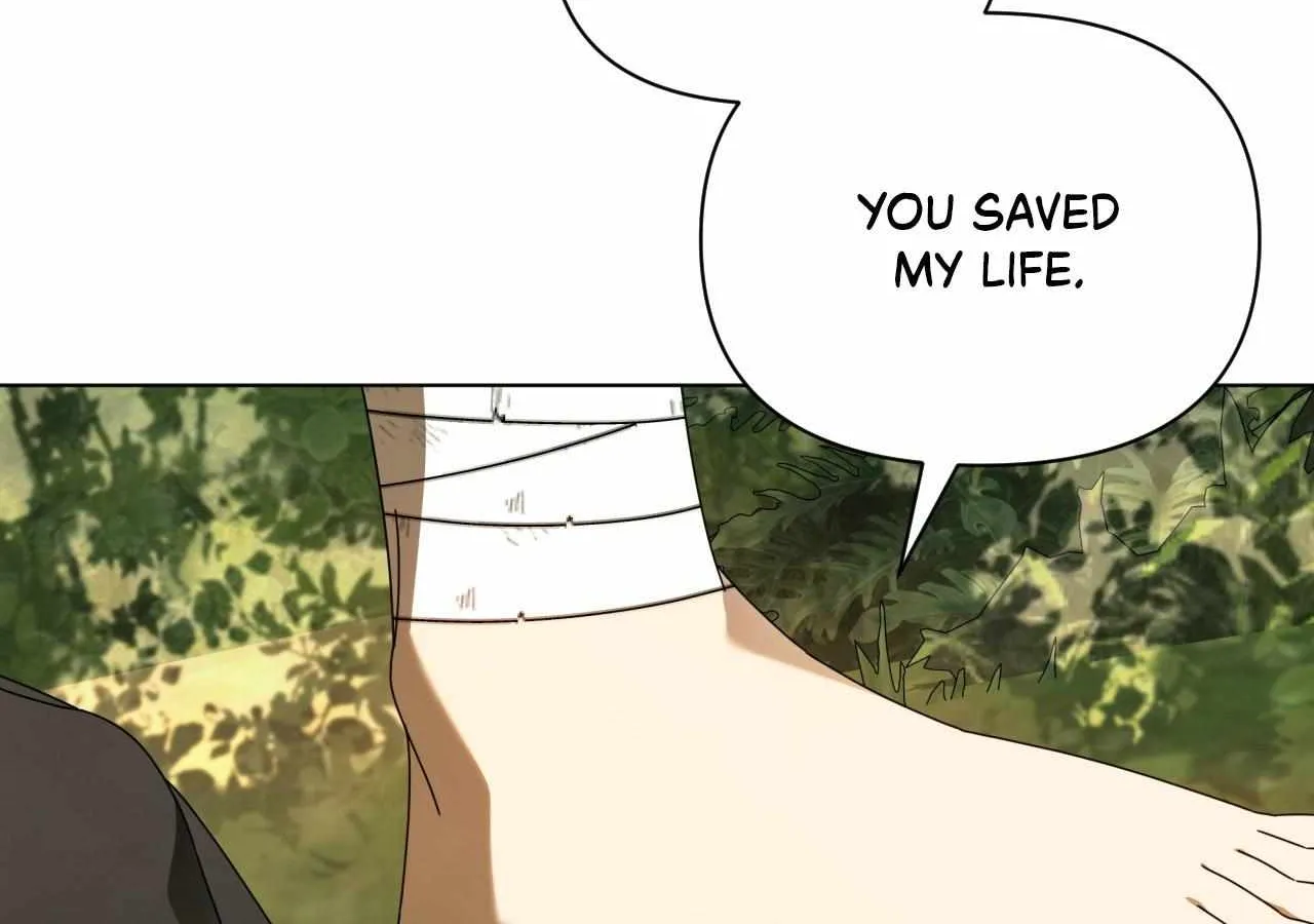 To the Witch Who Forgot the Birds Chapter 35 page 83 - 