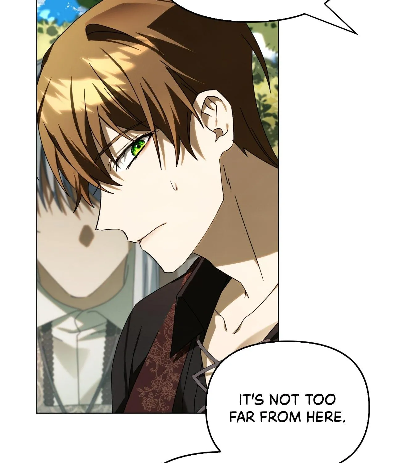 To the Witch Who Forgot the Birds Chapter 35 page 94 - 
