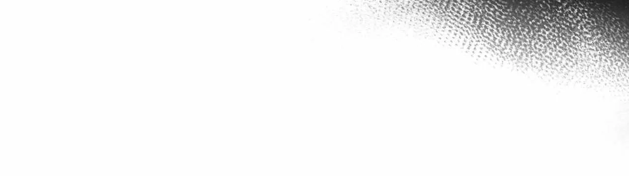 To the Witch Who Forgot the Birds Chapter 36 page 155 - 