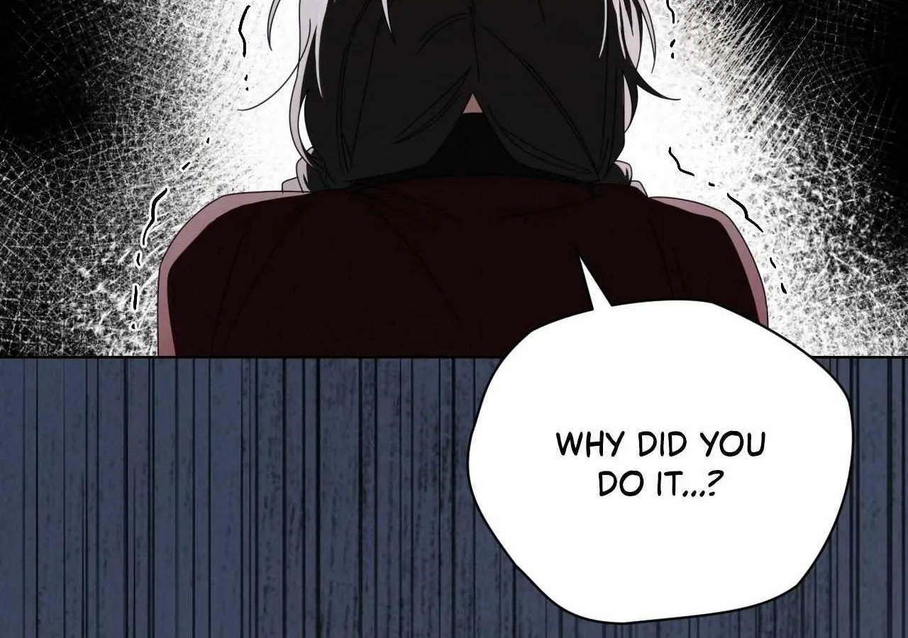 To the Witch Who Forgot the Birds Chapter 37 page 17 - 
