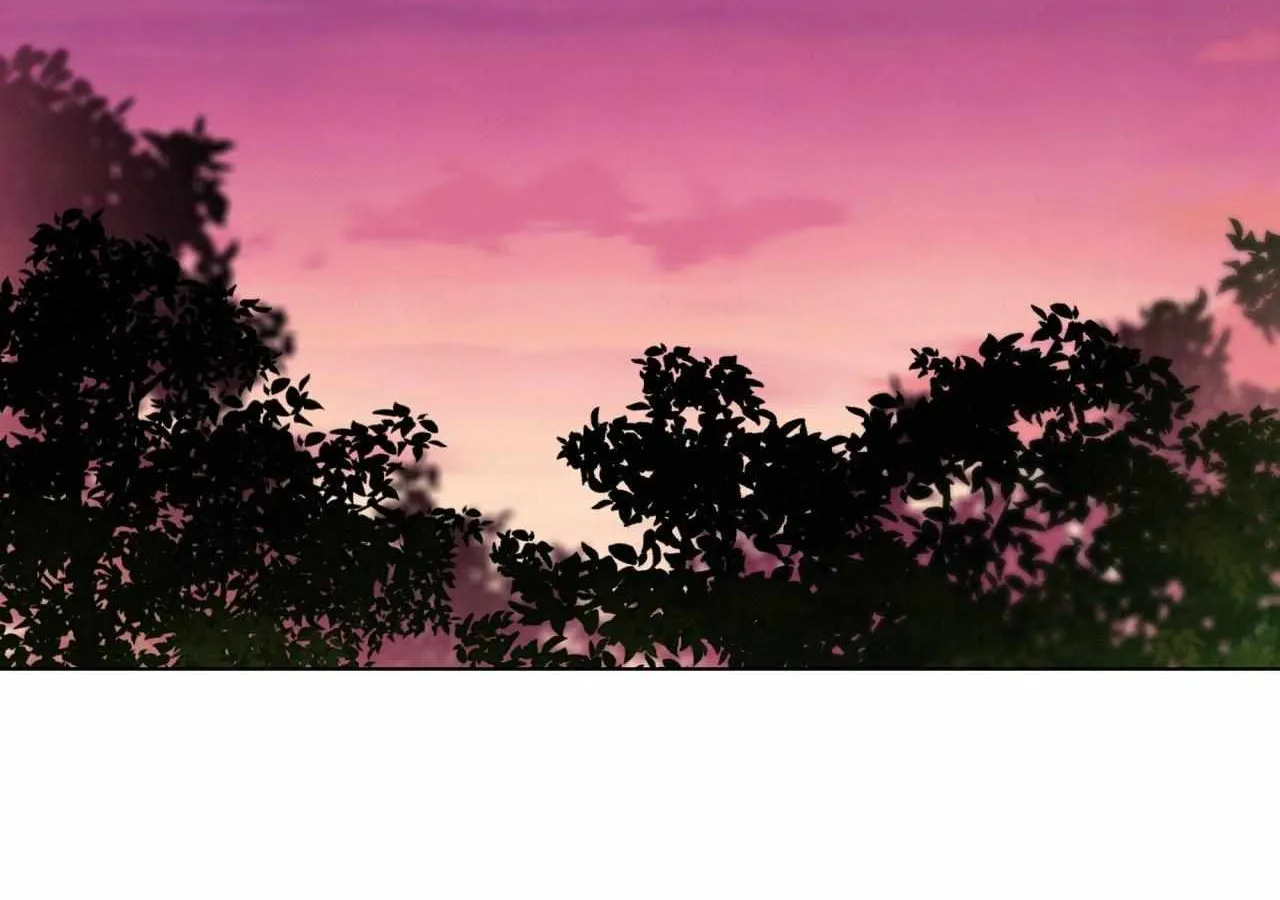 To the Witch Who Forgot the Birds Chapter 37 page 184 - 
