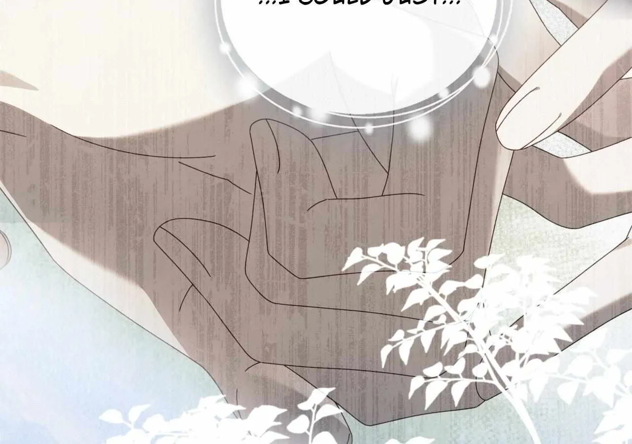 To the Witch Who Forgot the Birds Chapter 38 page 158 - 