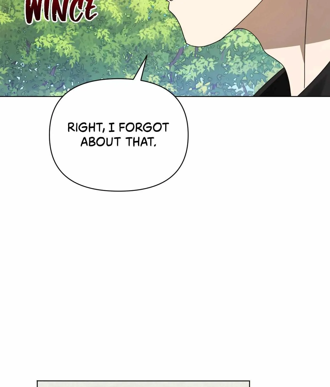 To the Witch Who Forgot the Birds Chapter 38 page 44 - 