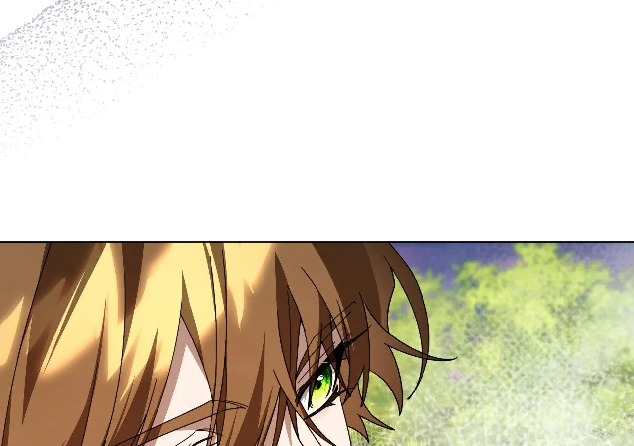 To the Witch Who Forgot the Birds Chapter 38 page 63 - 