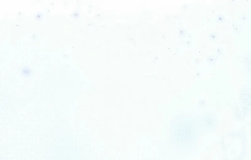 To the Witch Who Forgot the Birds Chapter 4 page 66 - 